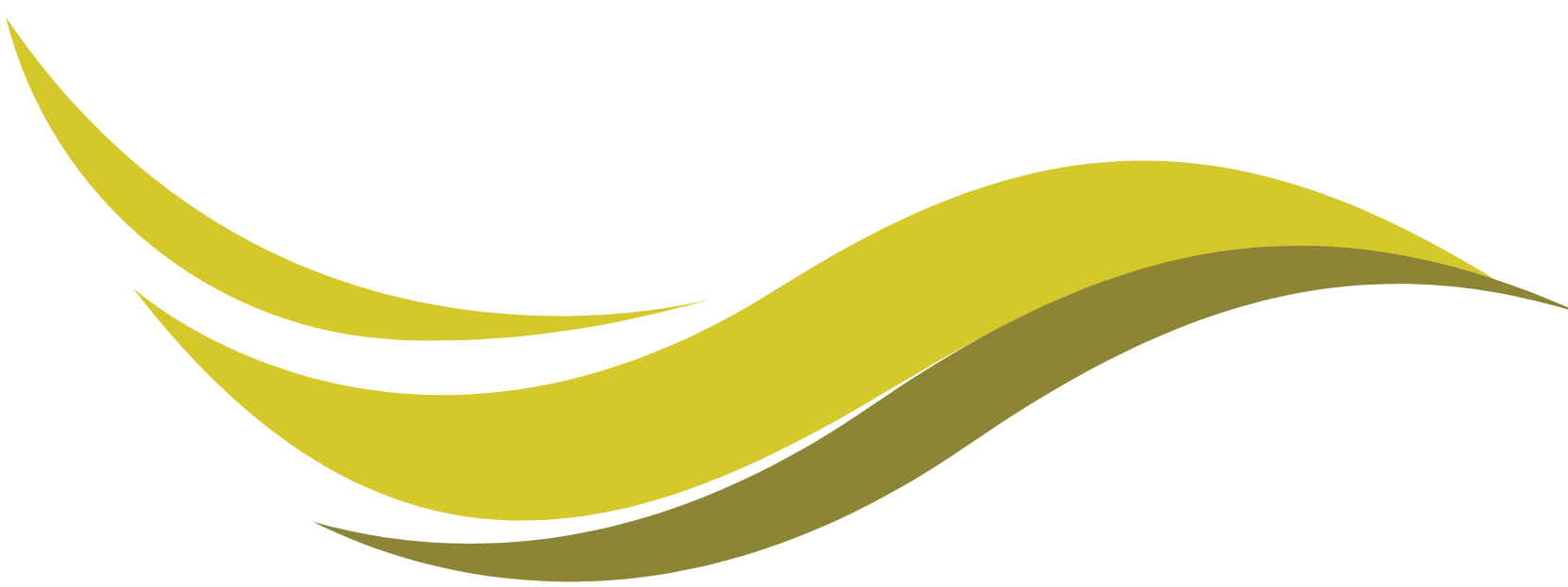 Vague oiseau couleur droite