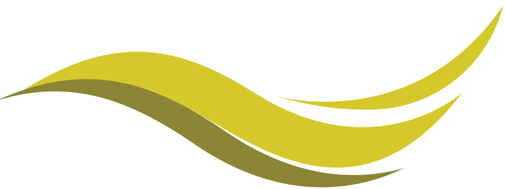 Vague oiseau couleur