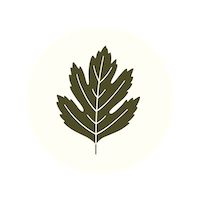 Aubépine avec rond - 200x200